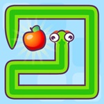 Snake Solver